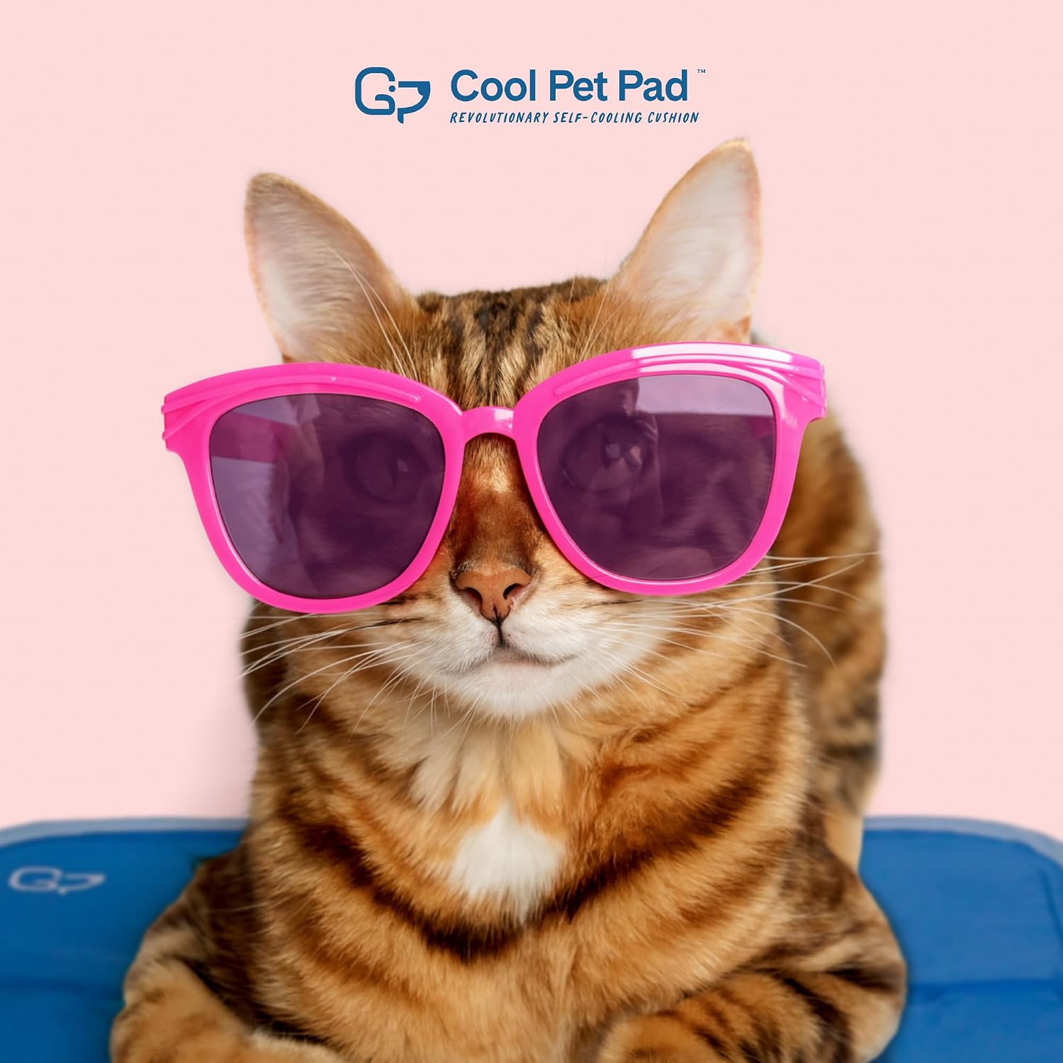 The Green Pet Shop pressure activated gel cooling mat pad for cats and small dogs