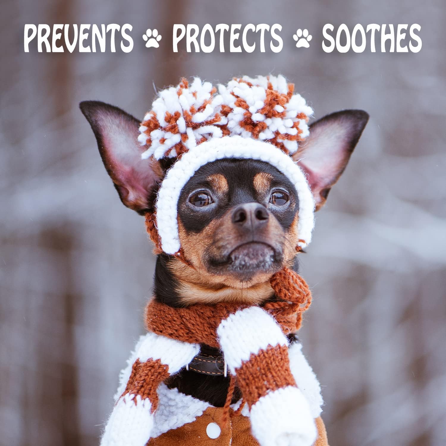 Musher's Secret all natural dog paw balm wax for hot pavement and ice protection