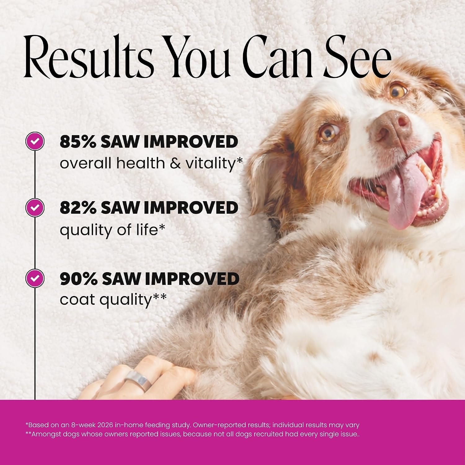 PetHonesty 10-in-1 multivitamin soft chews with glucosamine and probiotics for dogs