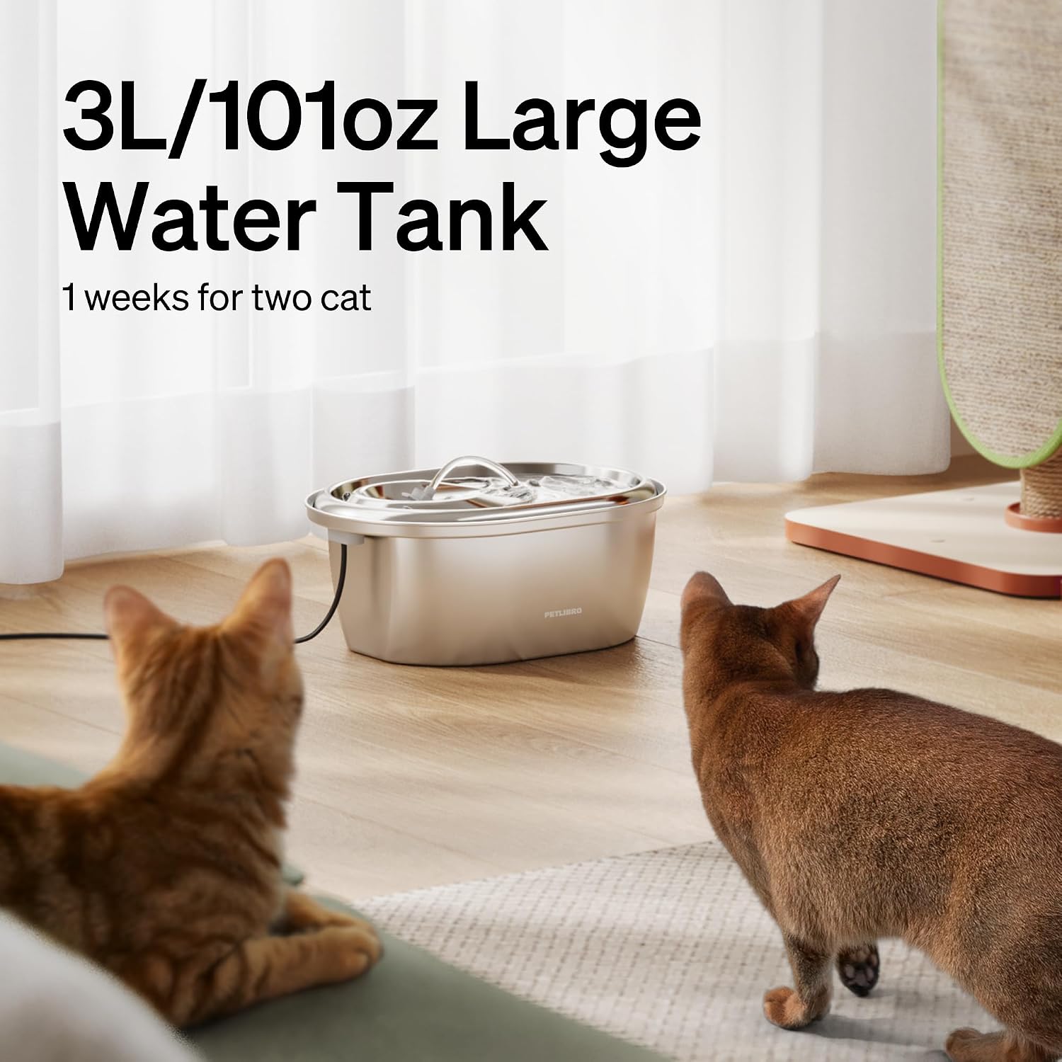 PETLIBRO stainless steel cat water fountain for kidney health and hydration